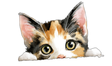 Jennifer's Playground Logo